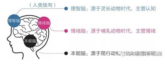 超级产品经理